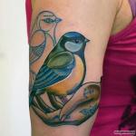Why do you dream of a tit in the house: interpretation of dream books What does a tit tattoo mean?